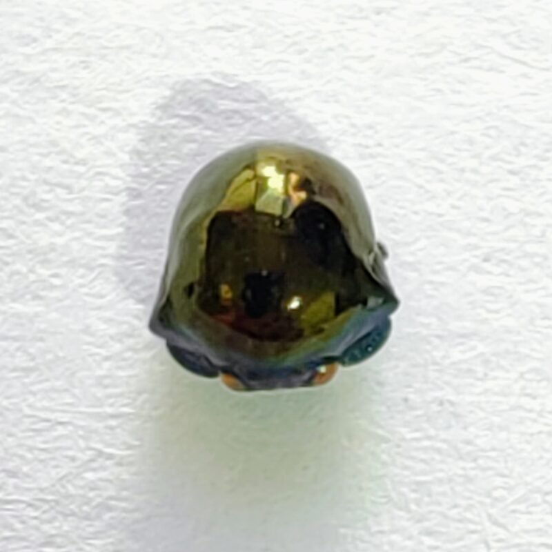 106 Membracidae