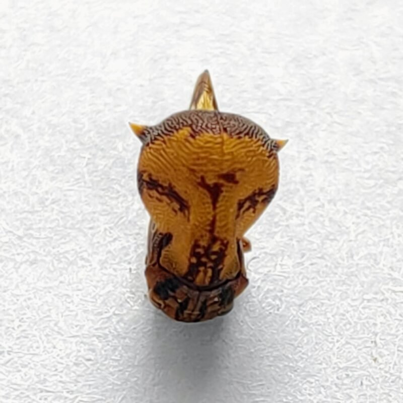 163 Membracidae